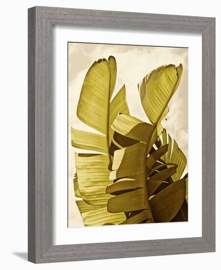 Palm Fronds III-Rachel Perry-Framed Art Print