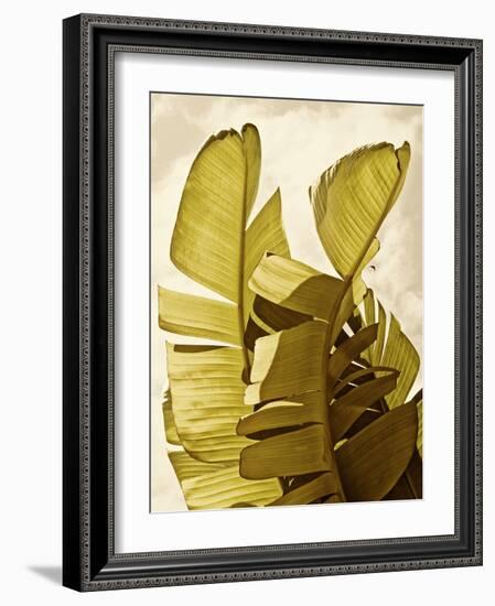 Palm Fronds III-Rachel Perry-Framed Art Print