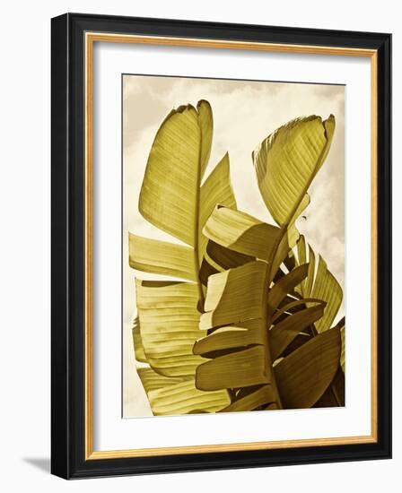 Palm Fronds III-Rachel Perry-Framed Art Print