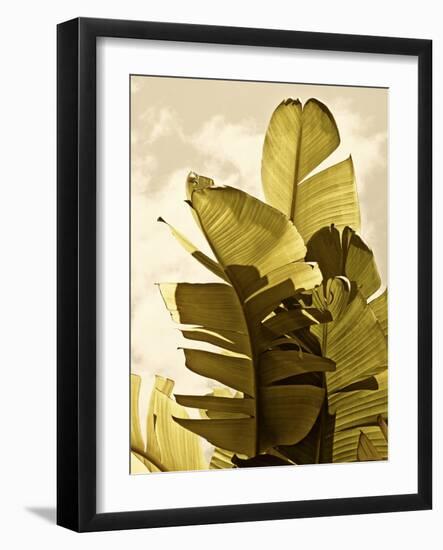 Palm Fronds IV-Rachel Perry-Framed Art Print