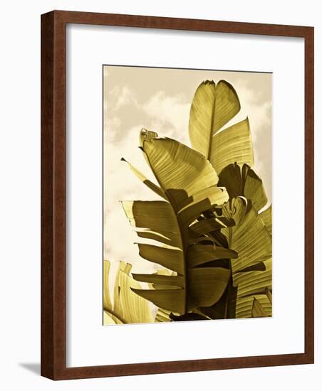 Palm Fronds IV-Rachel Perry-Framed Art Print