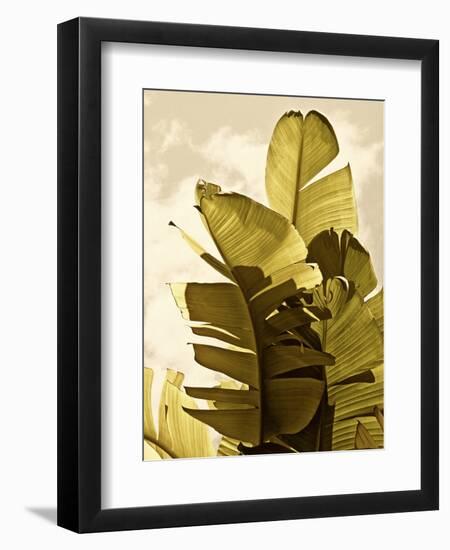 Palm Fronds IV-Rachel Perry-Framed Art Print