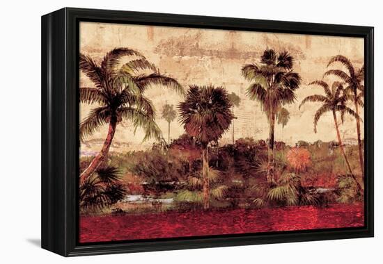 Palm Garden-John Seba-Framed Stretched Canvas