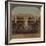 'Palm Gardens, Frankfort, Germany', 1894-Elmer Underwood-Framed Photographic Print