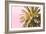 Palm Gold And Pink-Alex Hanson-Framed Art Print