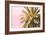 Palm Gold And Pink-Alex Hanson-Framed Art Print