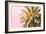 Palm Gold And Pink-Alex Hanson-Framed Art Print