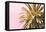 Palm Gold And Pink-Alex Hanson-Framed Stretched Canvas