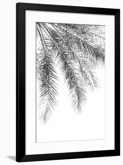 Palm Grace Noir-Irene Suchocki-Framed Giclee Print