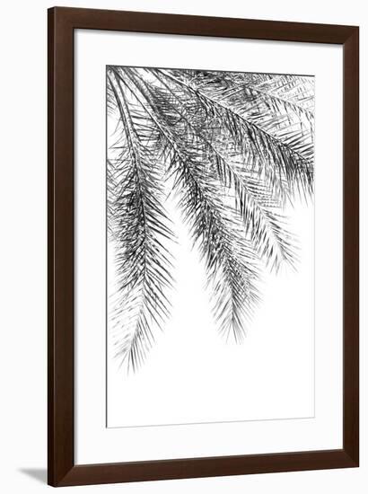 Palm Grace Noir-Irene Suchocki-Framed Giclee Print