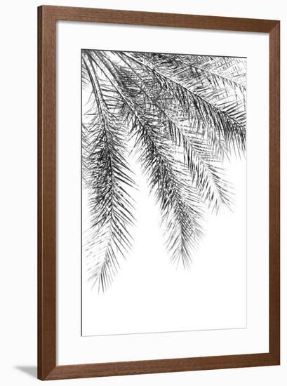Palm Grace Noir-Irene Suchocki-Framed Giclee Print
