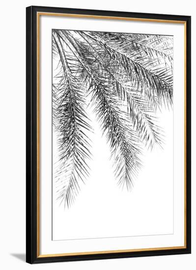 Palm Grace Noir-Irene Suchocki-Framed Giclee Print