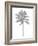 Palm Gray I-Kristen Drew-Framed Art Print