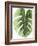 Palm Green I-PI Studio-Framed Art Print