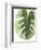 Palm Green I-PI Studio-Framed Premium Giclee Print