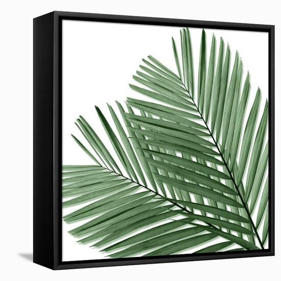 Palm Green I-Mia Jensen-Framed Stretched Canvas