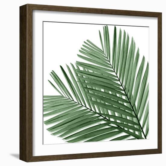 Palm Green I-Mia Jensen-Framed Art Print