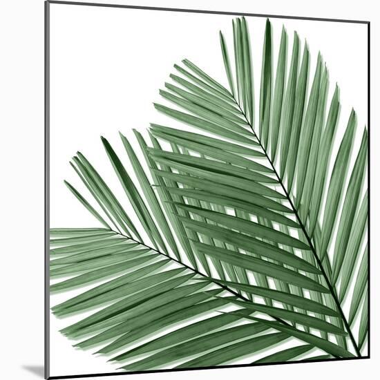 Palm Green I-Mia Jensen-Mounted Art Print