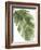 Palm Green II-PI Studio-Framed Art Print
