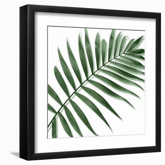 Palm Green II-Mia Jensen-Framed Art Print