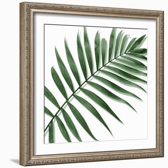 Palm Green II-Mia Jensen-Framed Art Print