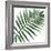 Palm Green II-Mia Jensen-Framed Art Print