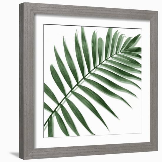 Palm Green II-Mia Jensen-Framed Art Print