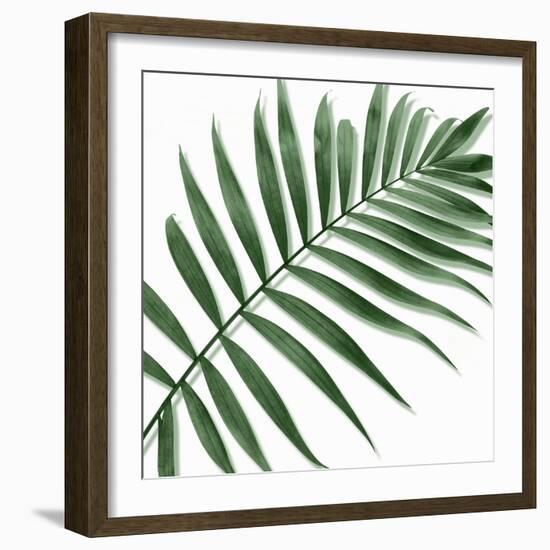 Palm Green II-Mia Jensen-Framed Art Print