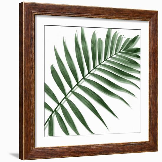 Palm Green II-Mia Jensen-Framed Art Print