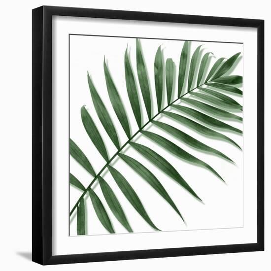 Palm Green II-Mia Jensen-Framed Art Print