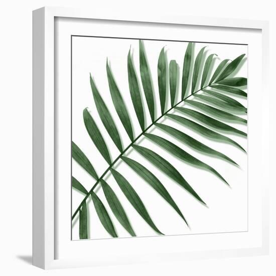 Palm Green II-Mia Jensen-Framed Art Print