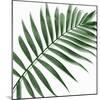 Palm Green II-Mia Jensen-Mounted Art Print