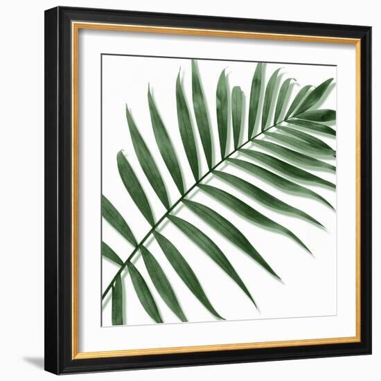 Palm Green II-Mia Jensen-Framed Art Print