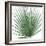 Palm Green III-Mia Jensen-Framed Art Print