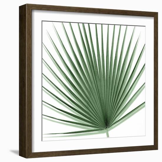 Palm Green III-Mia Jensen-Framed Art Print
