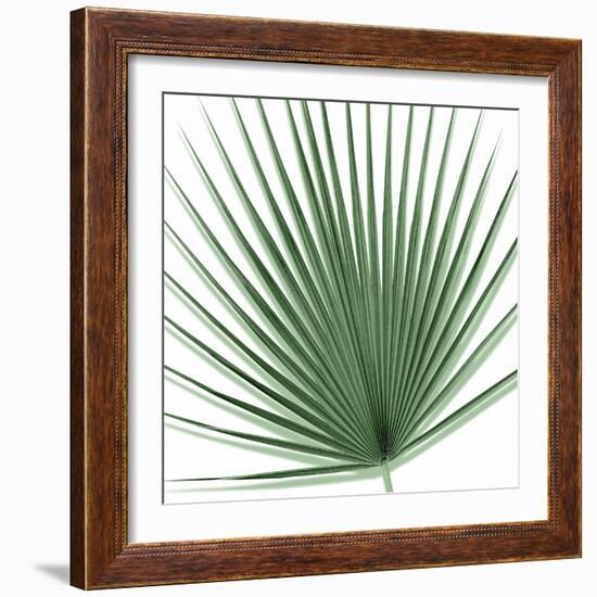 Palm Green III-Mia Jensen-Framed Art Print