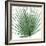 Palm Green III-Mia Jensen-Framed Art Print