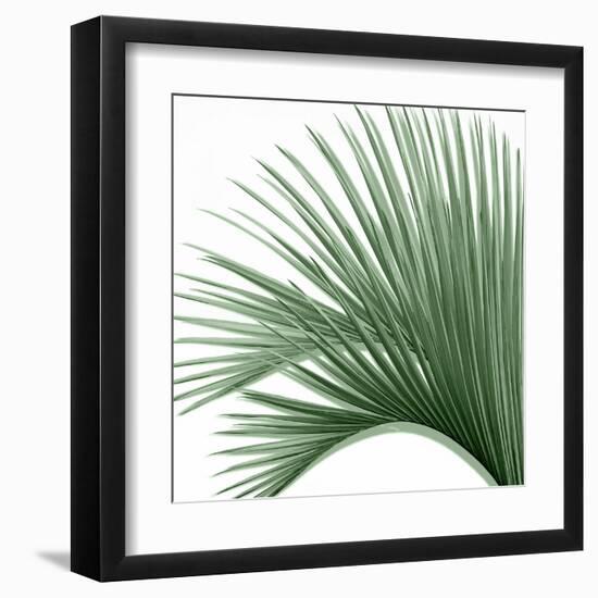 Palm Green IV-Mia Jensen-Framed Art Print