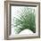 Palm Green IV-Mia Jensen-Framed Art Print