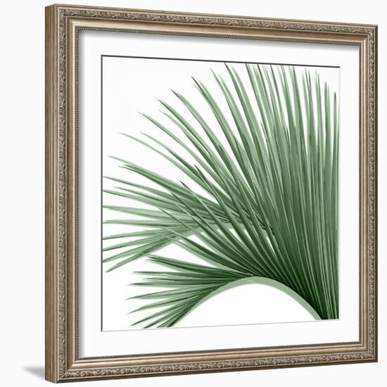 Palm Green IV-Mia Jensen-Framed Art Print