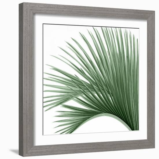 Palm Green IV-Mia Jensen-Framed Art Print