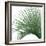 Palm Green IV-Mia Jensen-Framed Art Print