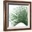 Palm Green IV-Mia Jensen-Framed Art Print