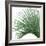 Palm Green IV-Mia Jensen-Framed Art Print