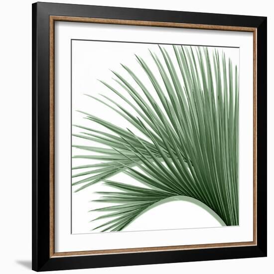 Palm Green IV-Mia Jensen-Framed Art Print