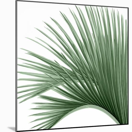 Palm Green IV-Mia Jensen-Mounted Art Print