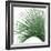 Palm Green IV-Mia Jensen-Framed Art Print