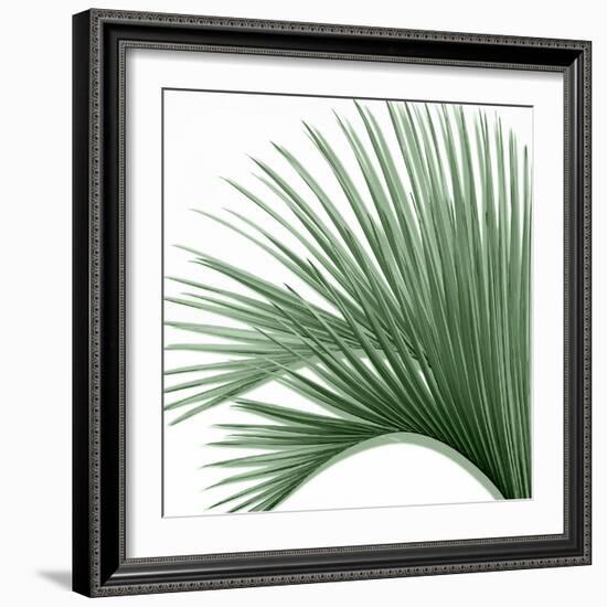 Palm Green IV-Mia Jensen-Framed Art Print