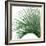 Palm Green IV-Mia Jensen-Framed Art Print