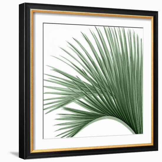 Palm Green IV-Mia Jensen-Framed Art Print